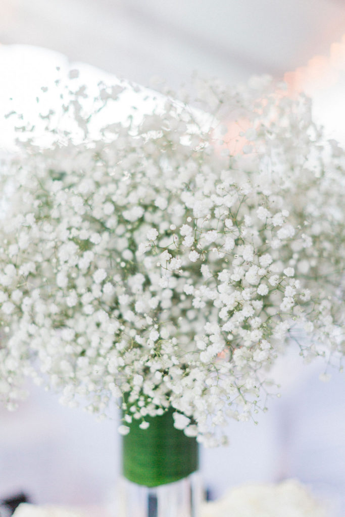 Crag Burn Golf Club Wedding, Buffalo Wedding Photographer